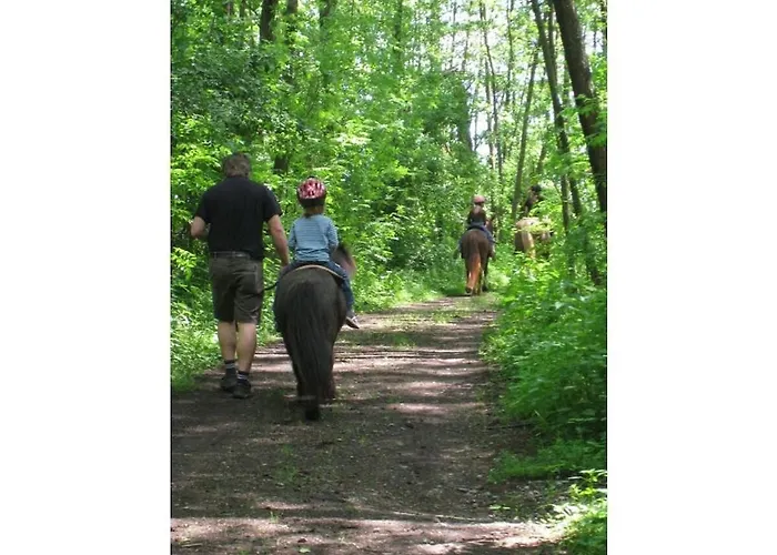 Schneeweischen, Coach House By The Pond Дом отдыха *